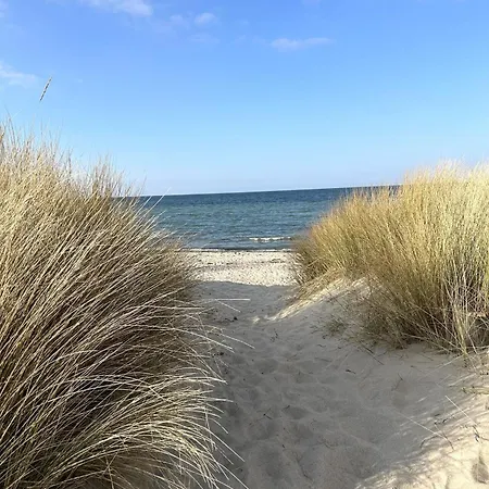 Ostsee Lines To Huus Strandnah Bei & Grossenbrode * Heiligenhafen