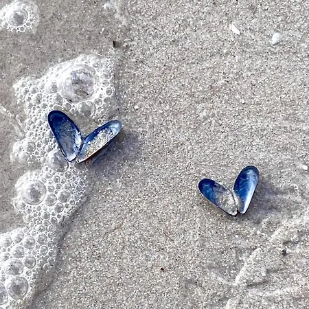 Lines To Huus Strandnah Bei & Grossenbrode Apartmán *